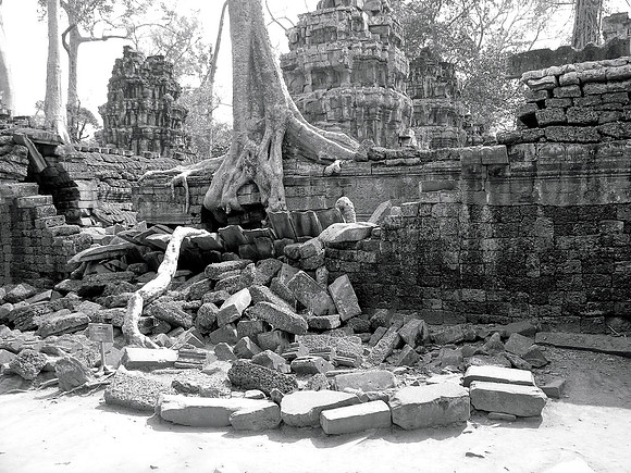 Ta Prohm Temple - Siem Reap