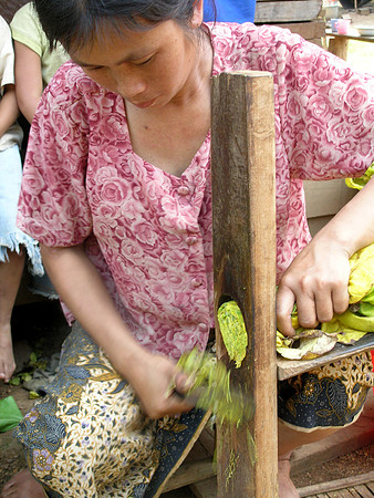 Siem Reap, Cambodia