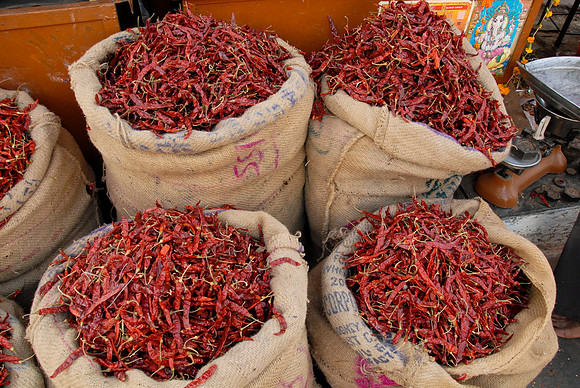 Red Peppers - New Delhi Night Market