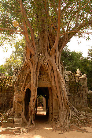 Siem Reap, Cambodia