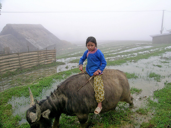 Outside Sapa, Vietnam