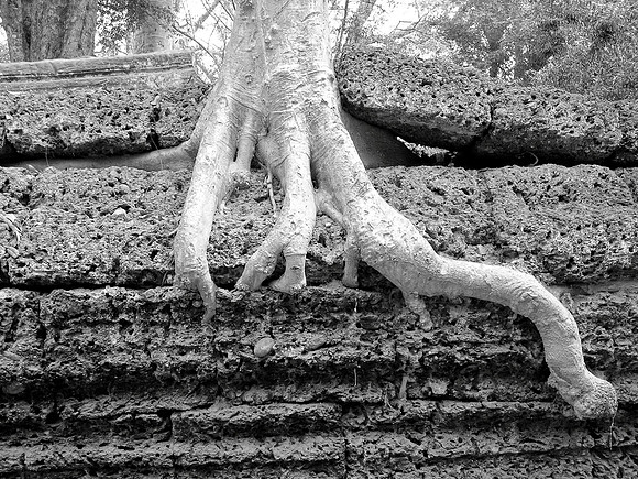 Ta Promh - Siem Reap