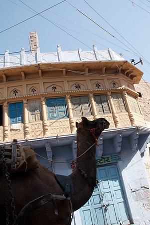 Jodhpur, India - The Blue City