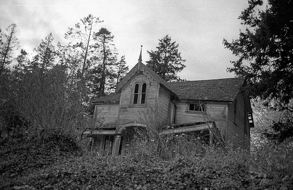 Olympic Peninsula, Outside Seattle, WA