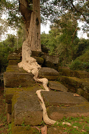 Siem Reap, Cambodia