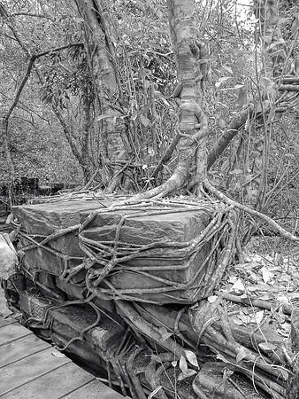 Siem Reap, Cambodia